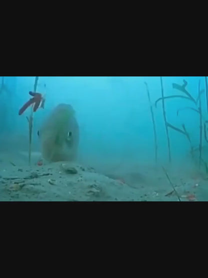 Силиконов червей светещ Silicone Glow worm x10